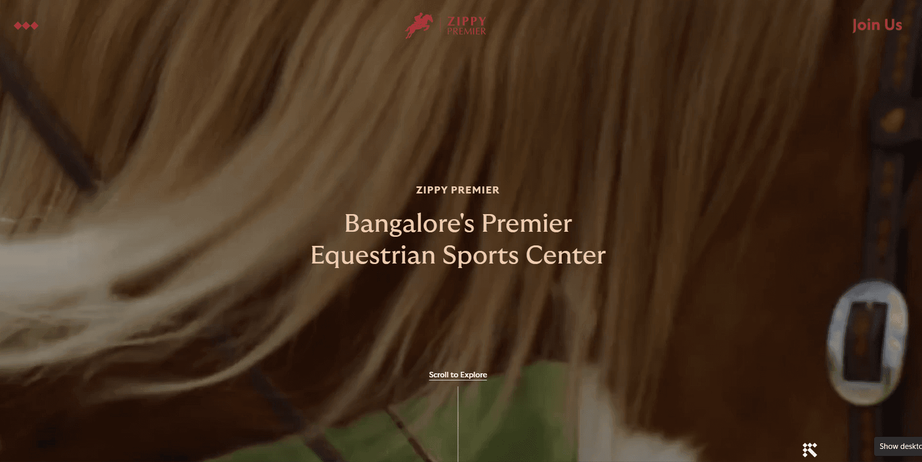 Zippi Premier- Bangalore